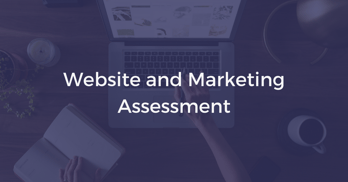 Website and Marketing Assessment | THAT Agency
